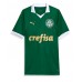 Palmeiras Estevao Willian #41 Replik Heimtrikot 2024-25 Kurzarm